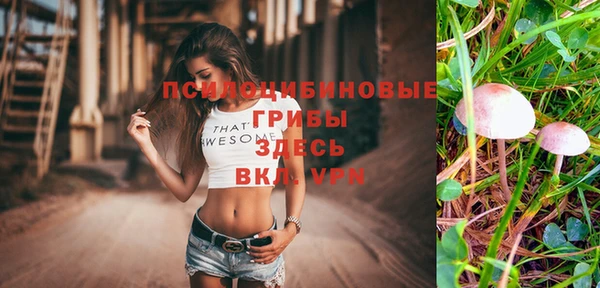 синтетический гашиш Балахна