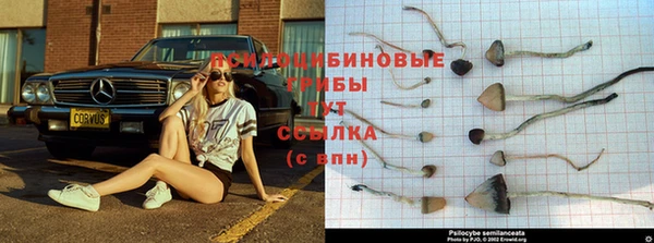MESCALINE Балабаново