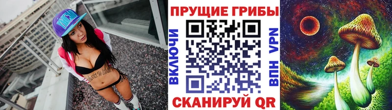 магазин  наркотиков  мориарти как зайти  Псилоцибиновые грибы Cubensis  Вяземский 