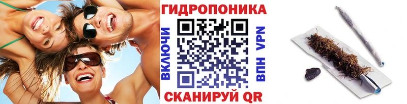 Конопля гибрид  Вяземский 